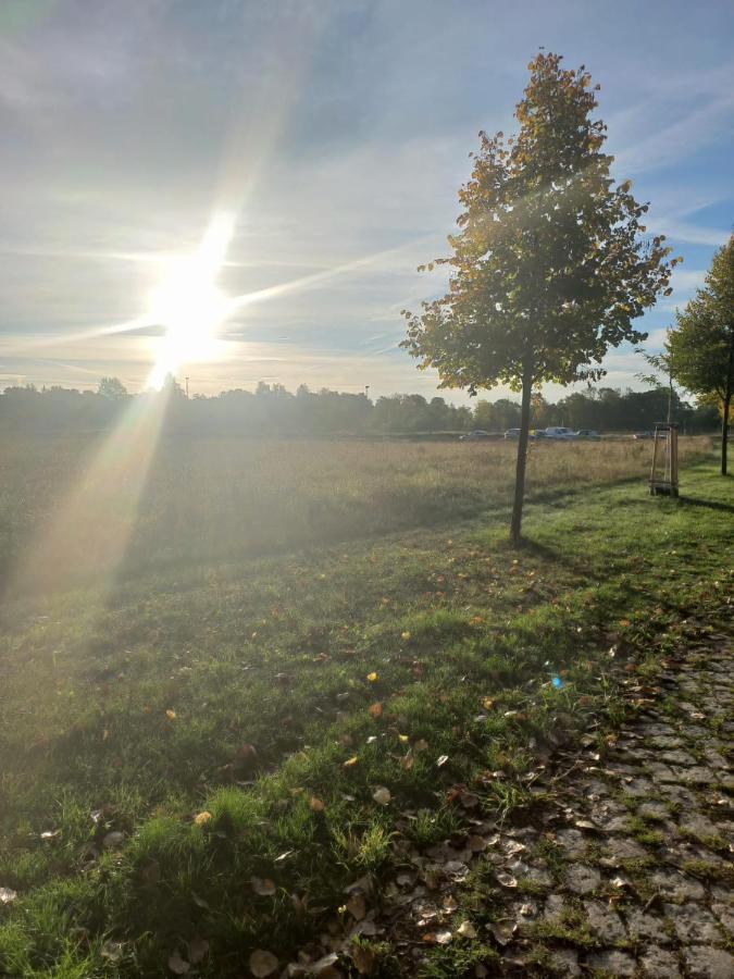 Pension Am Rosental Merseburg Exteriér fotografie